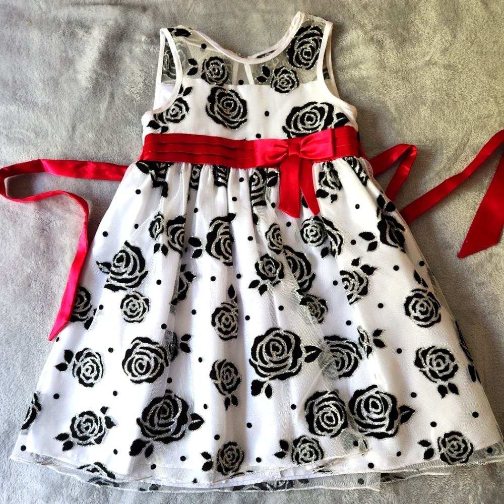 Little girls formal wear dress.